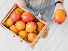 Proč jíst mango: Tyhle důvody vás přesvědčí k jeho konzumaci