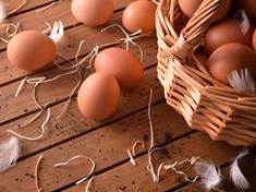 Jak skladovat vejce? Naložte je do vápna
