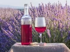 Vyrobte si domácí bylinkové víno. Je dobré a léčivé