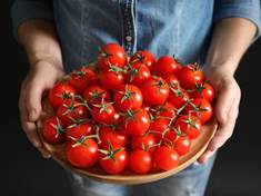 Zlepšováky při zpracování domácích rajčat