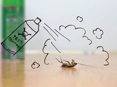 Mravenci, mouchy a komáři. Zbavit se jich můžete i bez škodlivé chemie