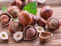 Jezte častěji lískové ořechy. Omladí vás a ještě prospějí vašemu srdci