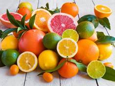 Tajemné citrusy pod drobnohledem